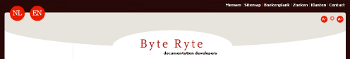ByteRyte 350